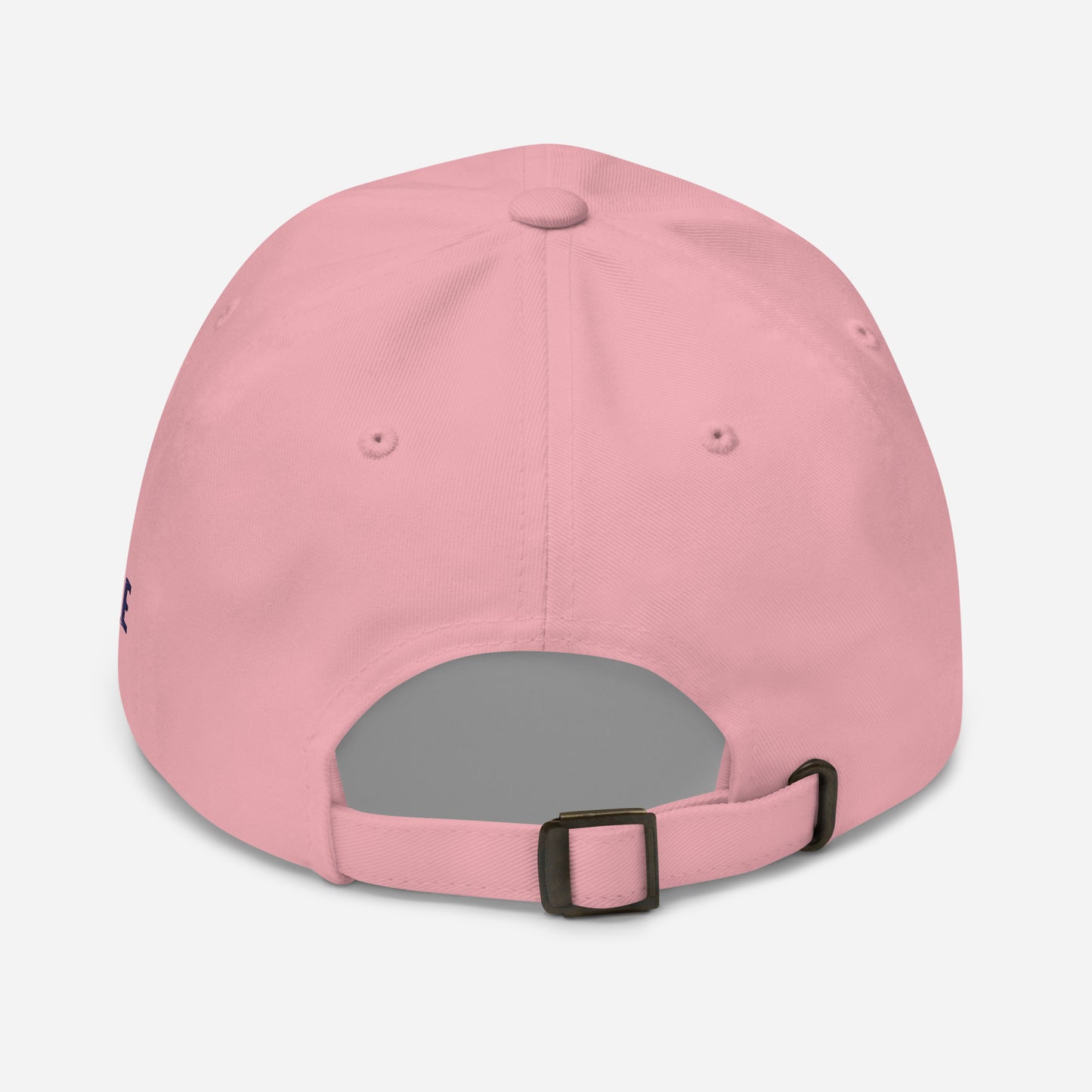 BP Classic Hat - Salmon